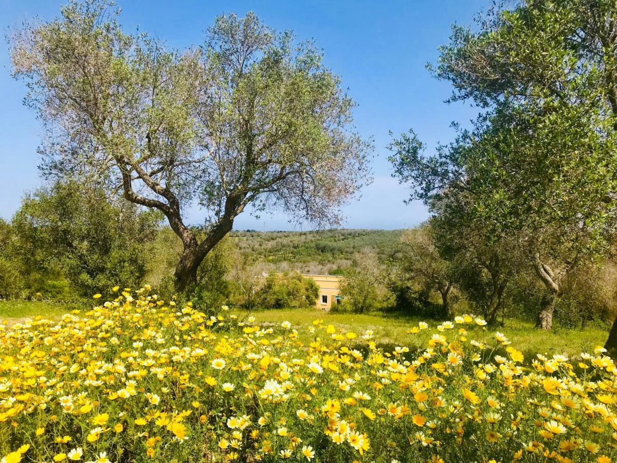 Le Palombelle Casa Vacanze Otranto Bagian luar foto